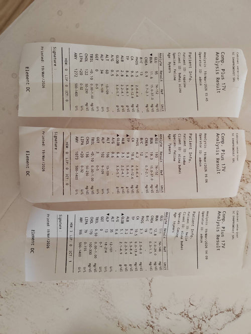 1 Eur Donation for Zeus's Battle