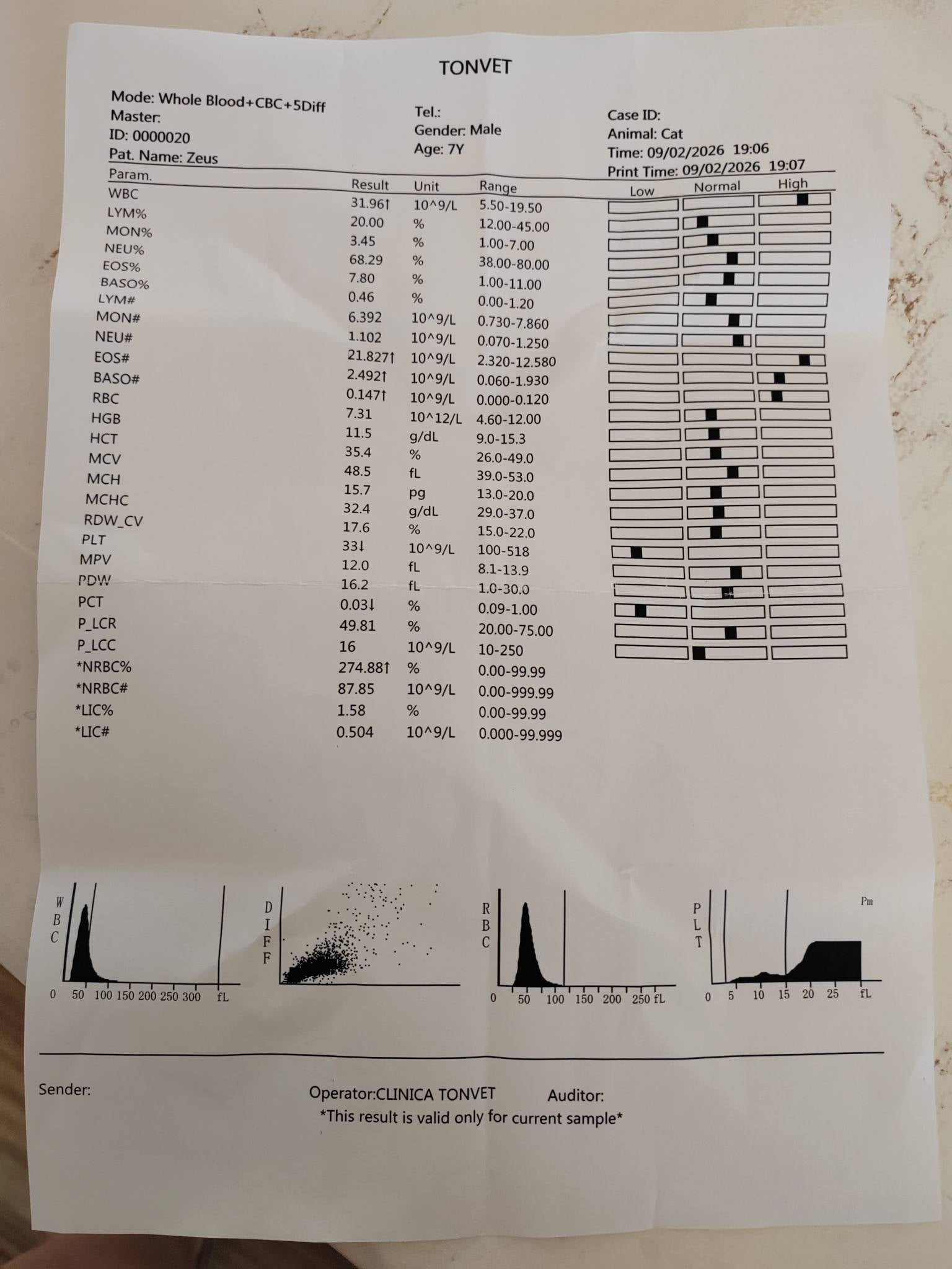 1 Eur Donation for Zeus's Battle