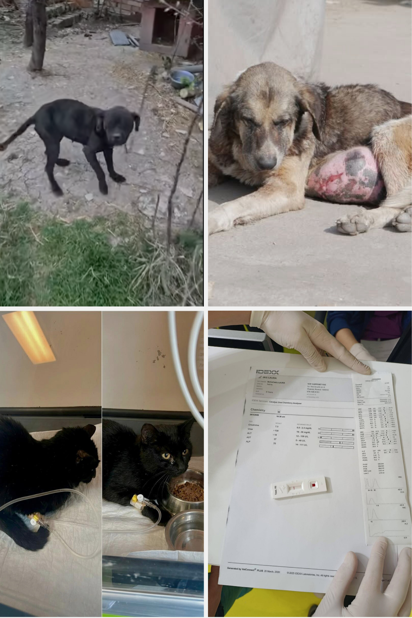 Support Medical Care & Rescue